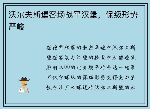 沃尔夫斯堡客场战平汉堡，保级形势严峻