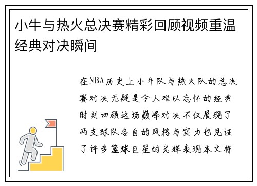 小牛与热火总决赛精彩回顾视频重温经典对决瞬间