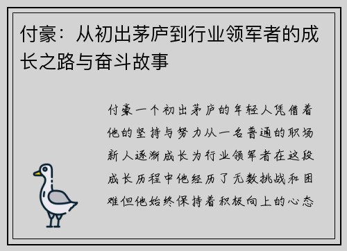 付豪：从初出茅庐到行业领军者的成长之路与奋斗故事